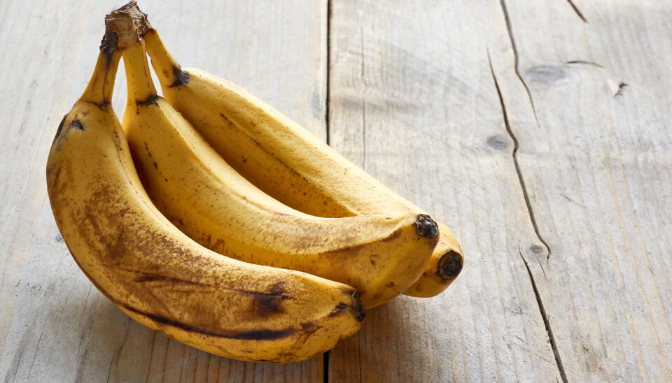 Bananer ligger på et bord