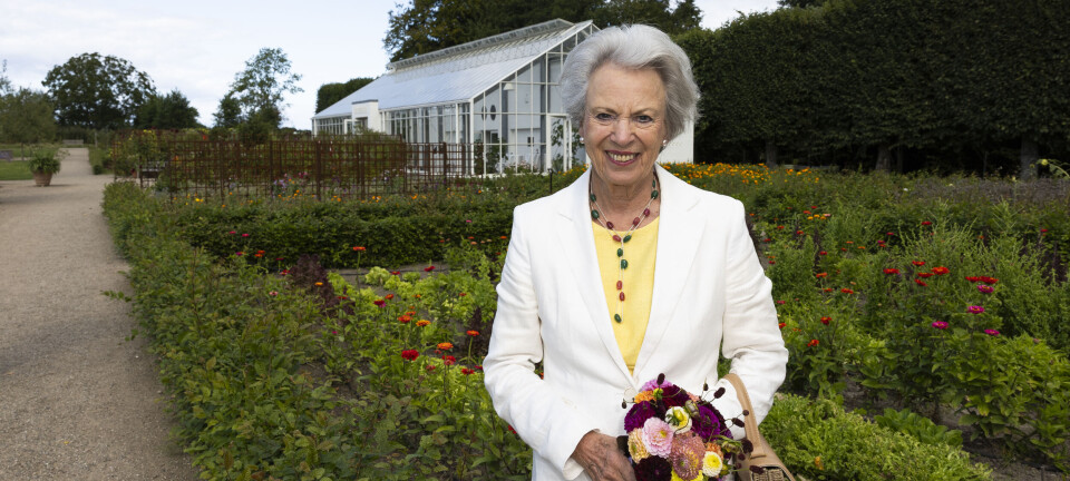 Prinsesse Benedikte fortsætter hjælpearbejdet: Mors hjertesag