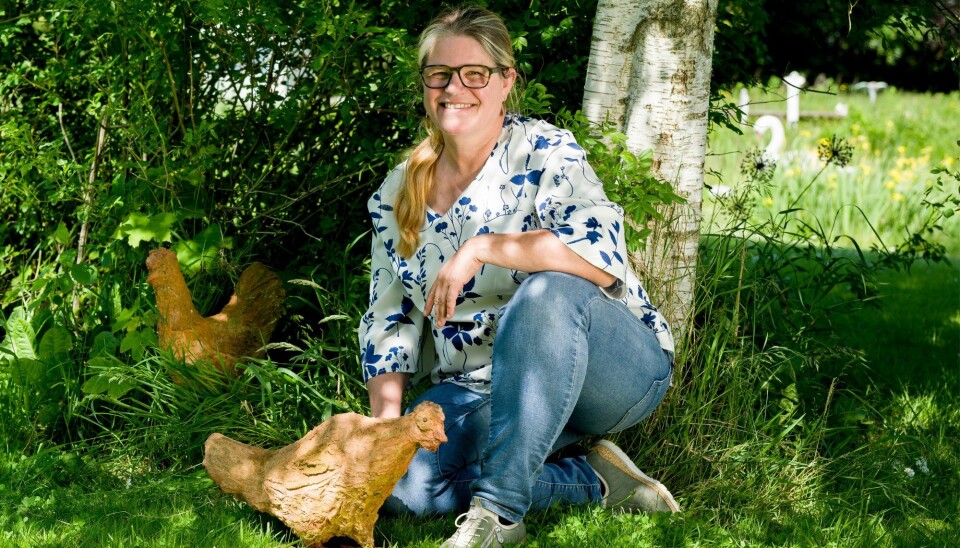 Vibeke sidder i sin have. Rundt om hende går to høns.
