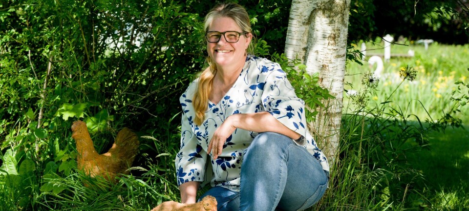 Vibeke fik invaliderende stress - to høns viste vejen til et godt liv