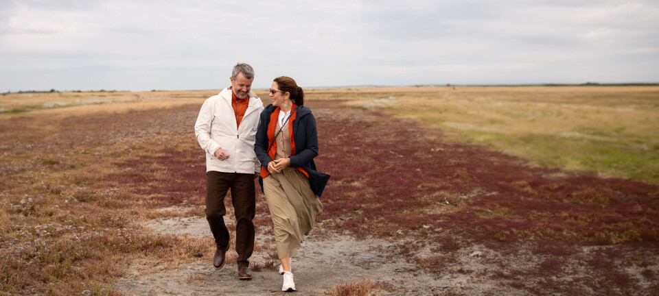 Se billederne: Natursafari på Læsø
