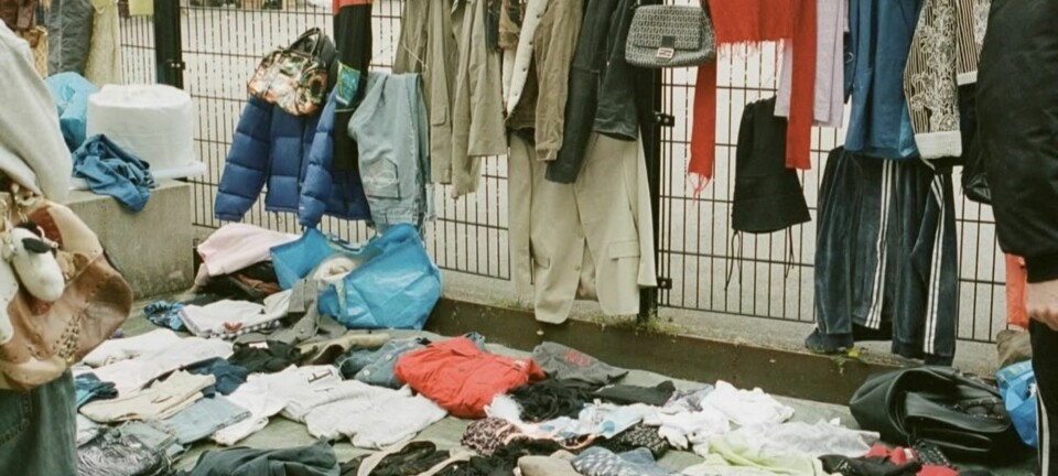 Heller ikke klar til at give slip på sommeren? Her er skønne 3 sensommeroplevelser til dig