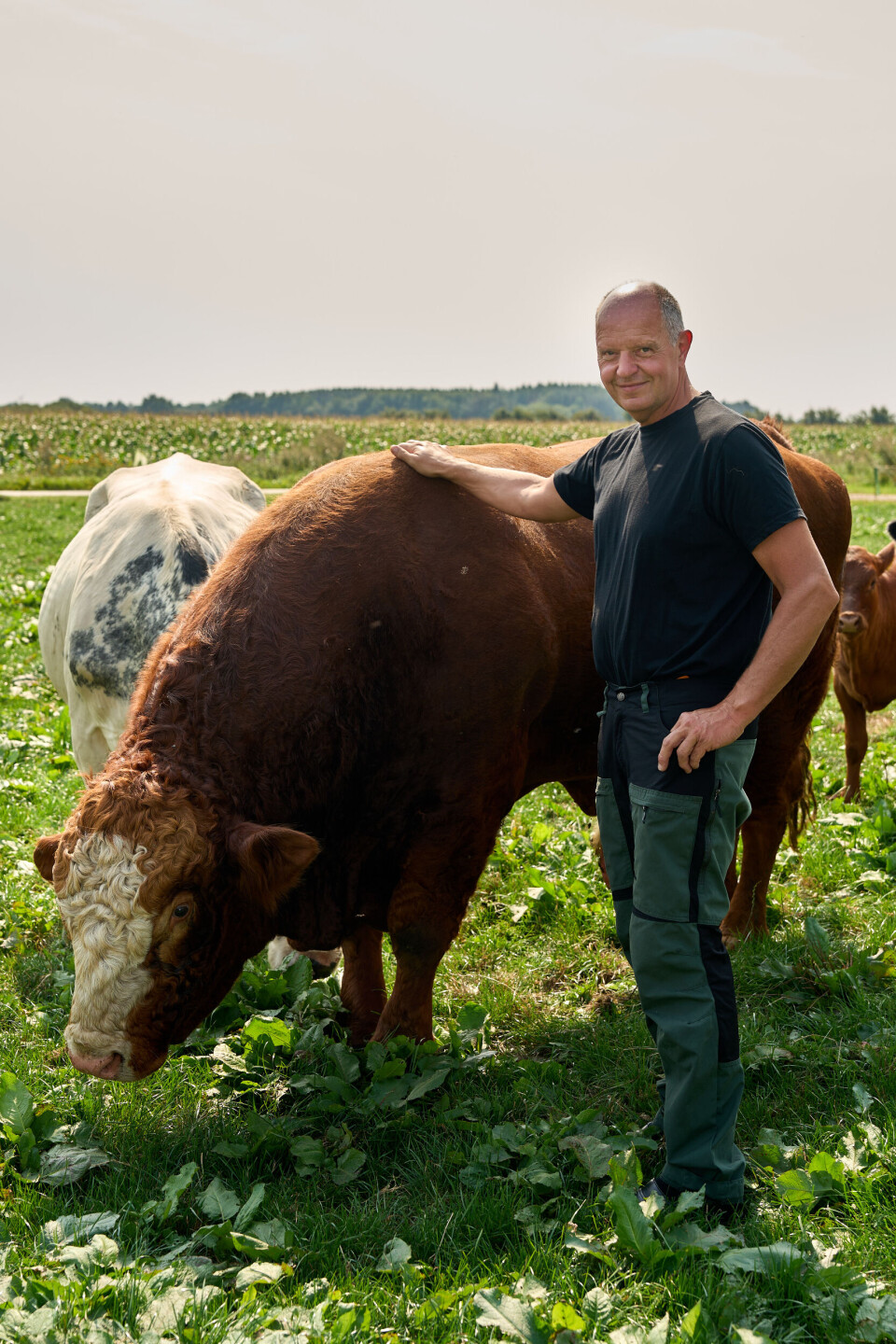 Lars S står sammen med en tyr