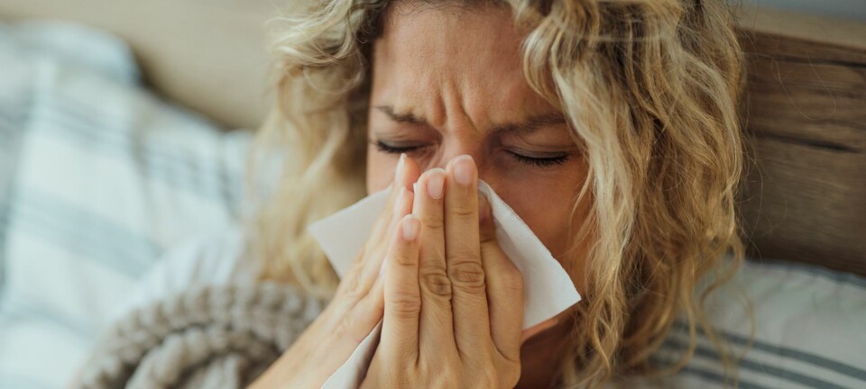 De er usynlige og kan forstyrre din nattesøvn - heldigvis er der råd