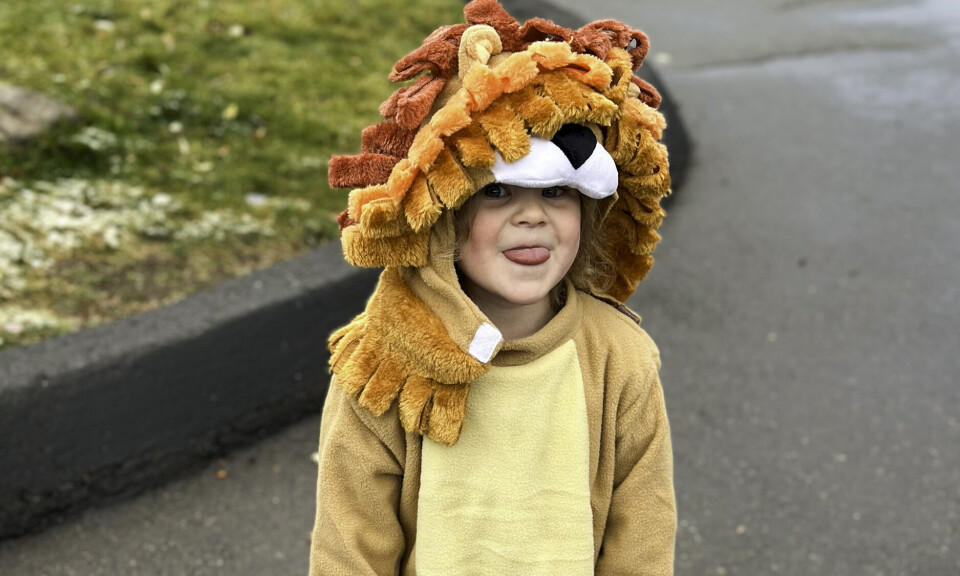 Toddler dressed up in a lion costume on Halloween