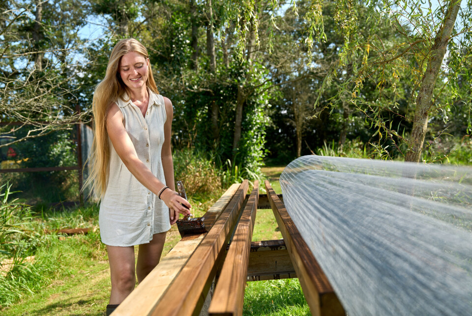 Mia maler plankeværk til sin hønsegård.
