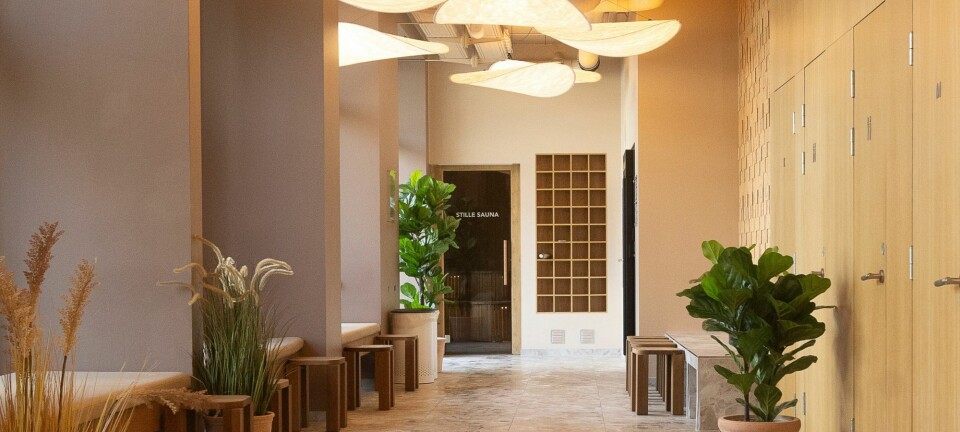 Redaktionen anbefaler: Her er tre oplevelser, du bør forkæle dig selv med dette efterår