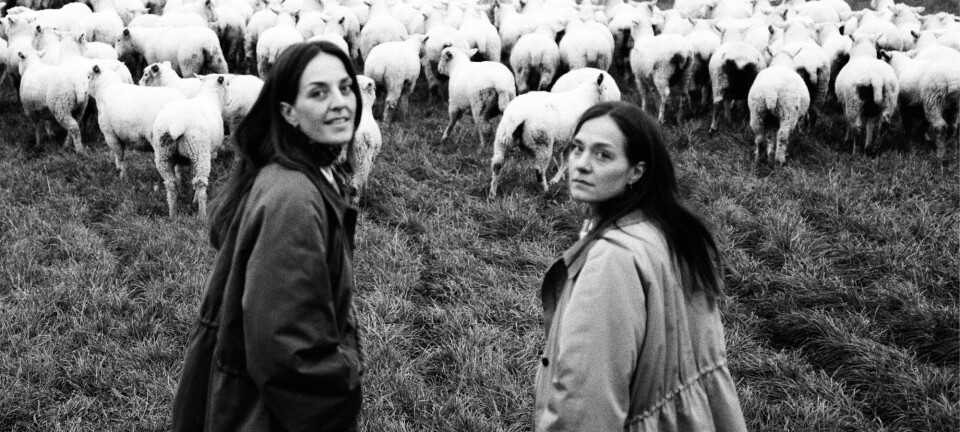 Det blev kaldt ”pigernes lille projekt”, men nu har søstrene vist verden, hvad de kan