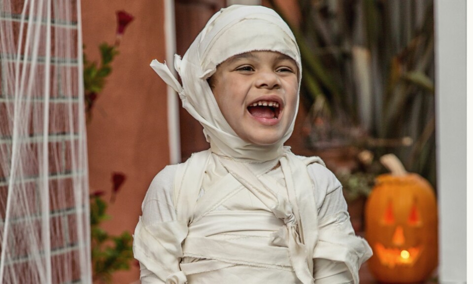 12 hjemmelavede Halloween-kostumer, du nemt kan lave til dine børn