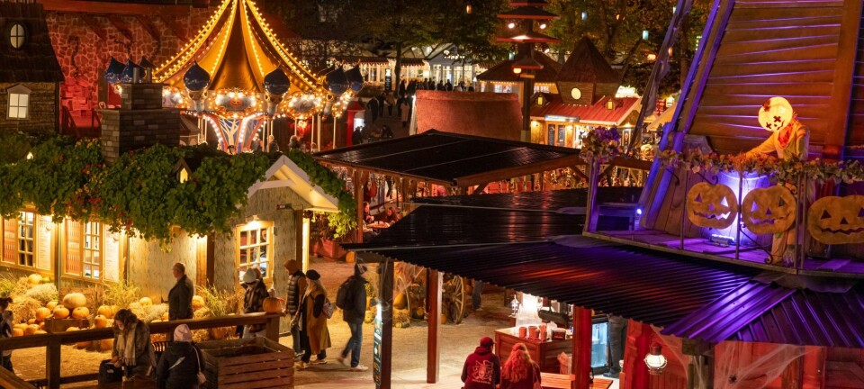 Redaktionen anbefaler: Her er 3 gode tips til dit efterår