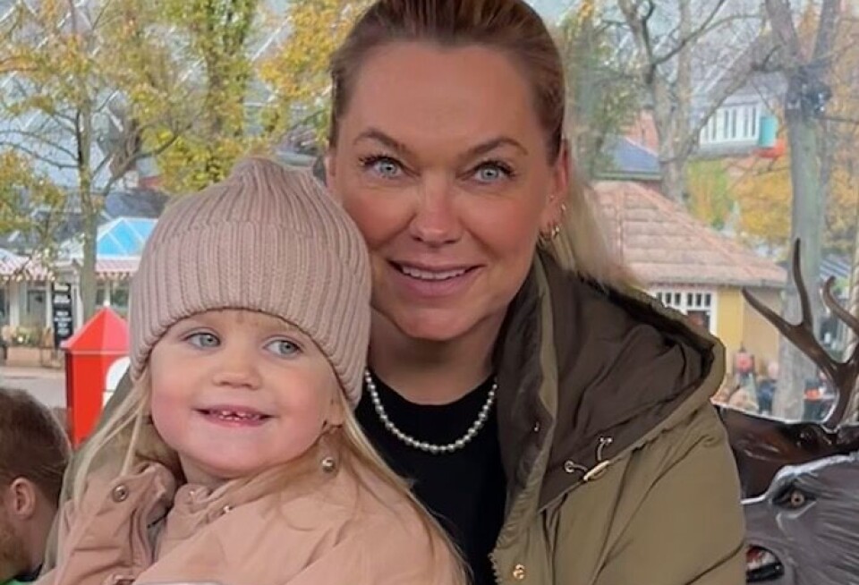 Kommunalvalgslogik i børne(have)højde: Katrines datter har et enkelt råd