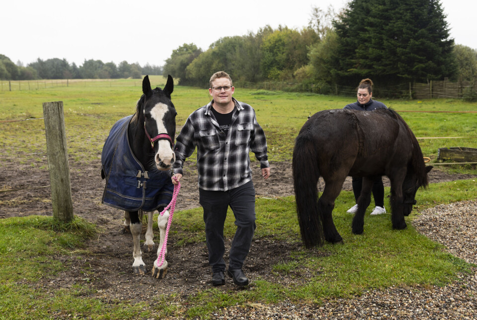 Rasmus med deres hest på folden.