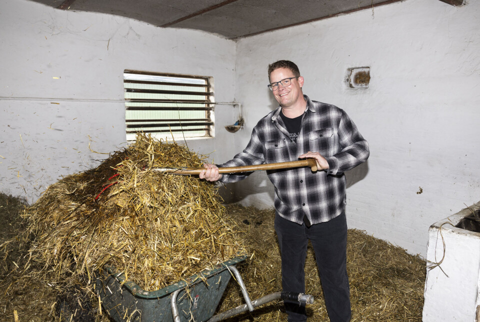 Rasmus i stalden, der muger ud.