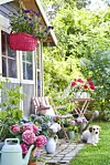 En behagelig stol lige ved husets hjørne, hvor solen varmer mest, er malet rosa – ligesom det tilhørende bord. Pladsen er omgivet af blomstrende planter i krukker, hortensiaer og pelargonier i flere nuancer af rosa og blåt. I hængekrukken verbena i mørklilla.
