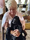 Hele familiens cocker spaniel Krudt og Jytte er et godt makkerpar.