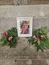 Portrætfoto på sten omgivet af grønne blade og lyserøde blomster