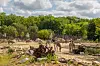 Tierpark er Østberlins gamle og mere originale dyrepark.