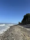 Stenet sandstrand med bølger og tæt kystskov under blå himmel.