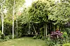 Træterrasse med krukker under tætte trækroner i grøn villahave