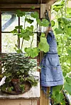 Det praktiske forklæde med masser af lommer til havegrej er
købt på Malmø Gardenshow.