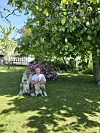To personer sidder på græsset under et træ med tre små hunde i en have.
