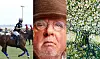 Kollage af poloscene, ældre mand med hat og kunstnerisk billede af blomstrende træ.