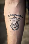 Underarm med tatovering af ko og teksten Kløvergaarden Red Black Angus