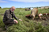 Lasse Korsgaard knæler i græsset ved en flok frilandsgrise på en mark