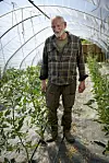 Lasse Korsgaard står i en drivtunnel mellem rækker af planter på sin gård.
