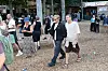 Folk går gennem et skovlignende festivalområde foran butikken Smukshop.