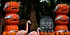 Halloweenopstilling med stablede græskar, skeletarme, gravsten og lyserøde flamingofigurer.