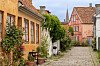 Brostensbelagt gade i Helsingør flankeret af farverige huse og blomstrende haver.