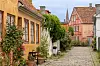 Brostensbelagt gade i Helsingør flankeret af farverige huse og blomstrende haver.
