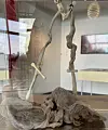 Grå, abstrakt skulptur udstillet i glasmonter i et lyst museumsrum.