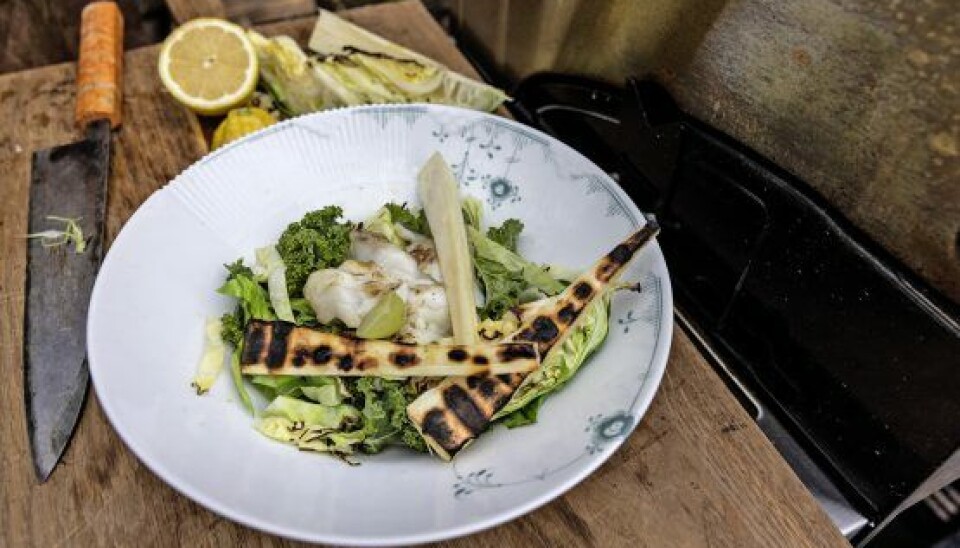 (Foto: Klaus Bo Christensen)