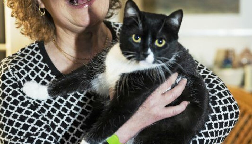 Misser er en kilde til stor glæde for Eva og hendes søn, Elias. (Foto: Anthon Unger)