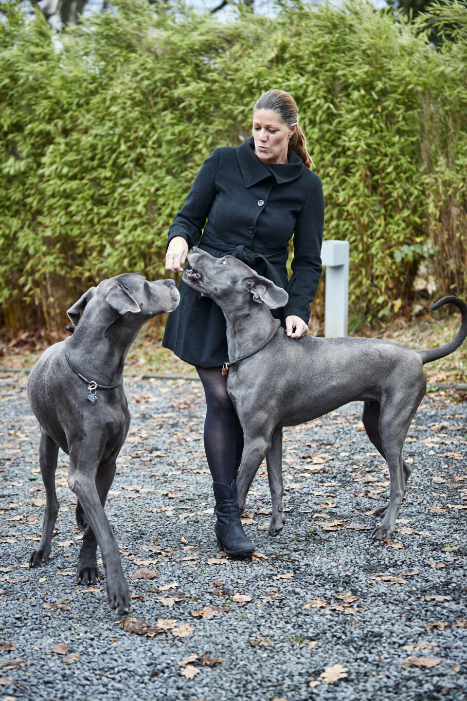 Interview med Mette Blomsterberg